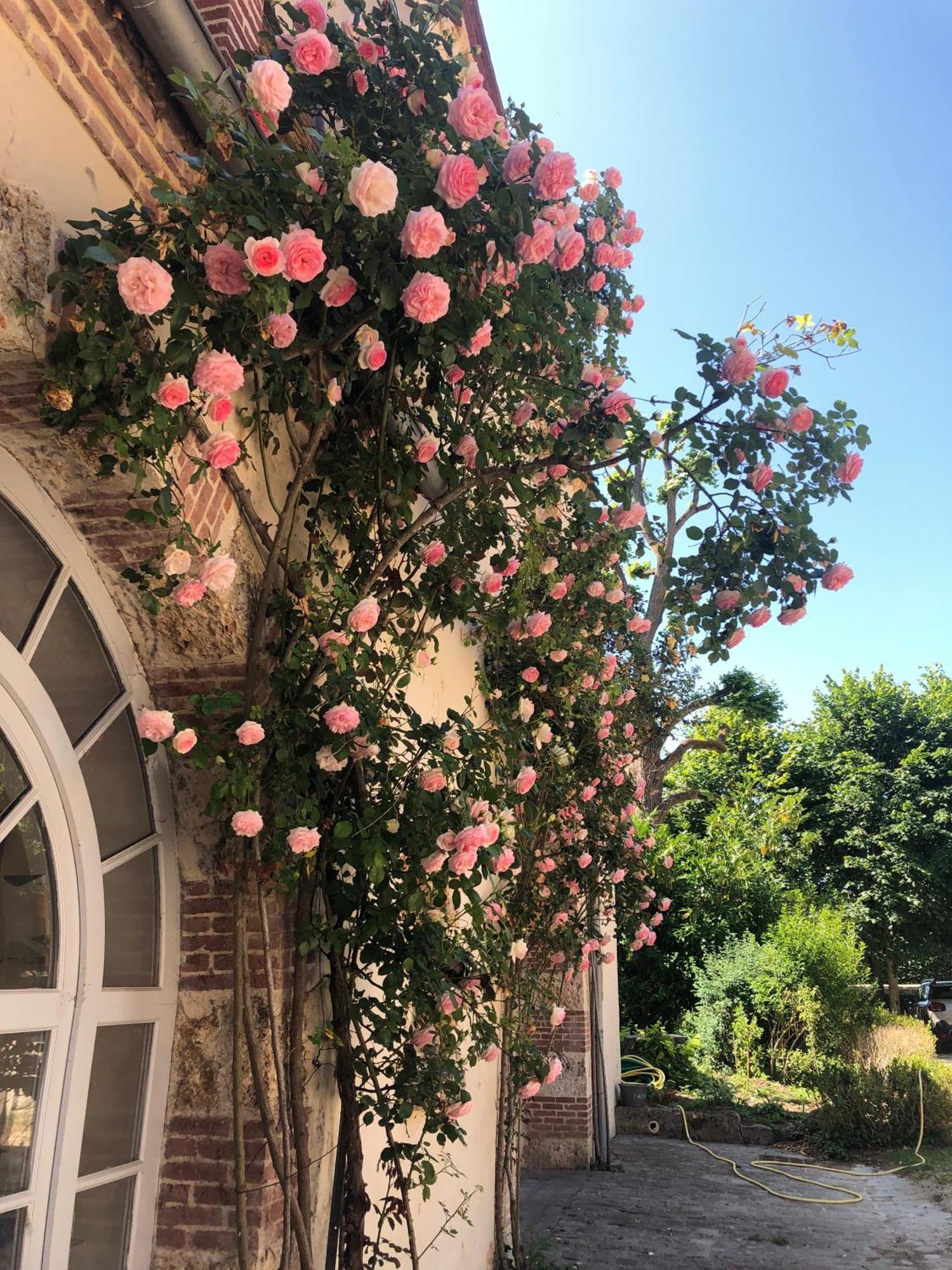 Chateau De La Cour Senlisse 외부 사진